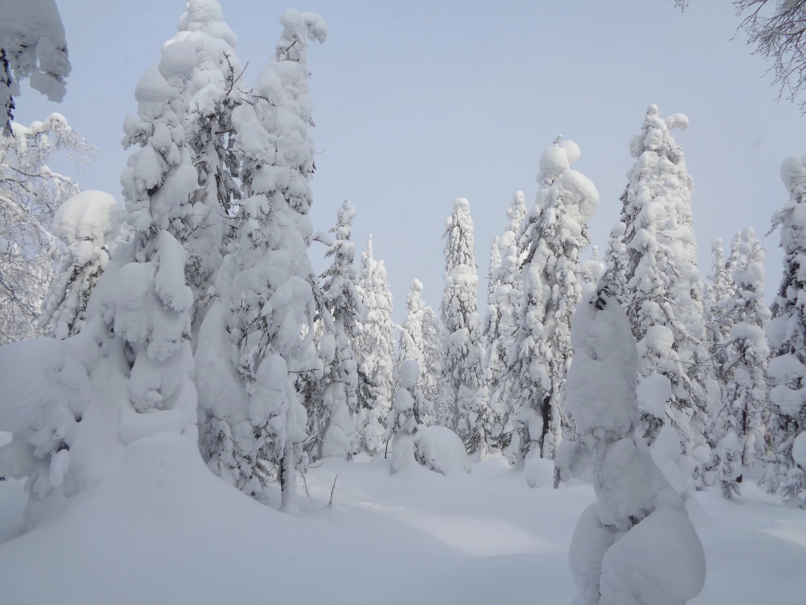 в течение зимы