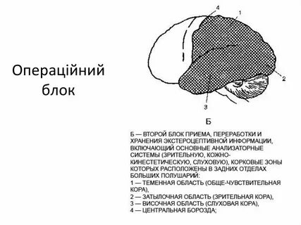 Блок приема