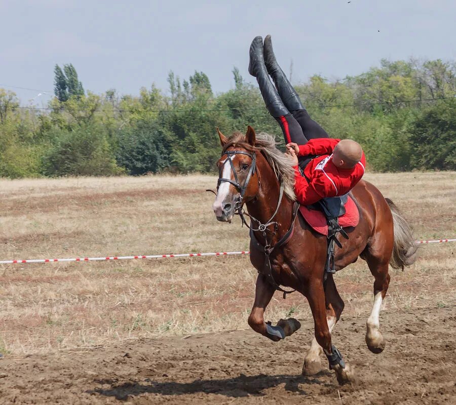 Казачок номер