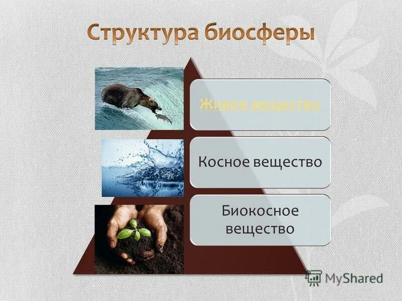 Косное и биокосное вещество.