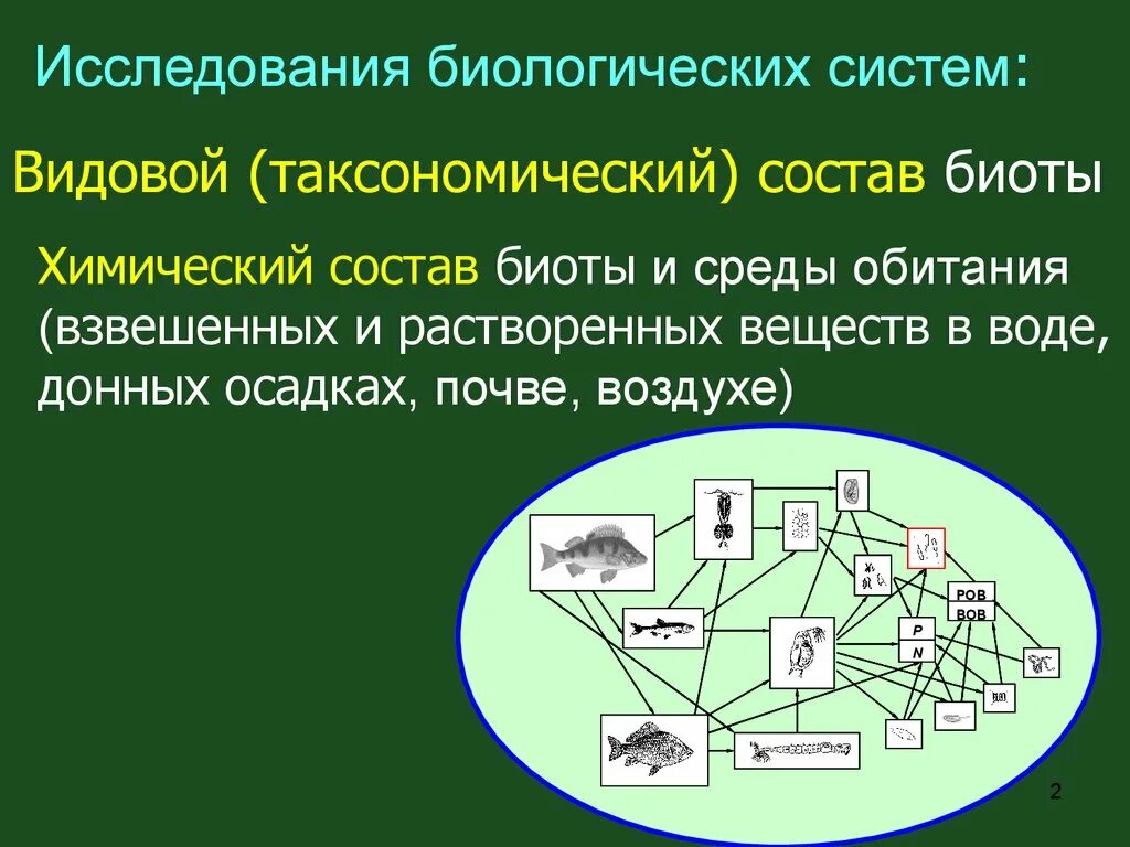 Исследовательская работа биоразнообразие. Сложность биологических систем. Химический состав биосистем. Изучение биологических систем.