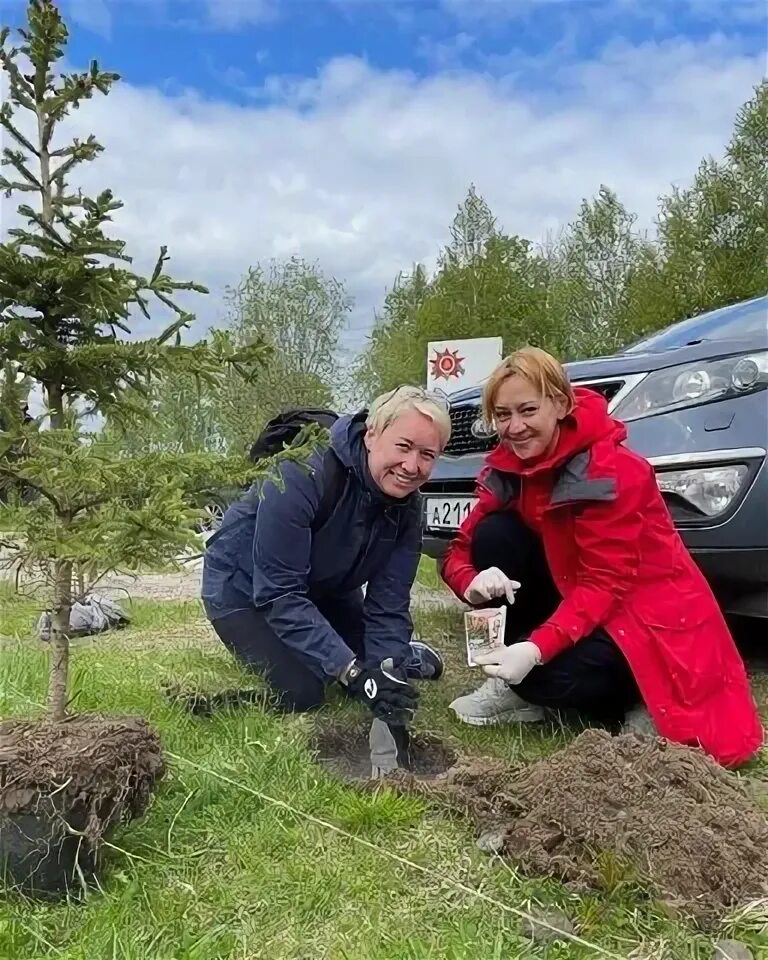 Высадка деревьев волонтерами.