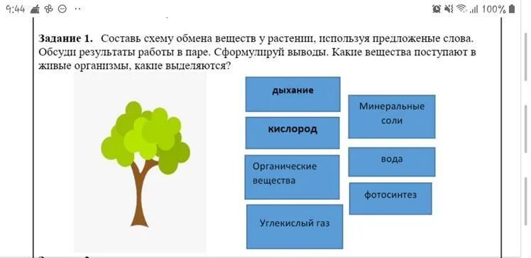 Обмен веществ у растений тест 6 класс. Обмен веществ у растений. Составить схему обмена веществ. Схема обмена веществ у растений. Составить схему обмен веществ у растений.