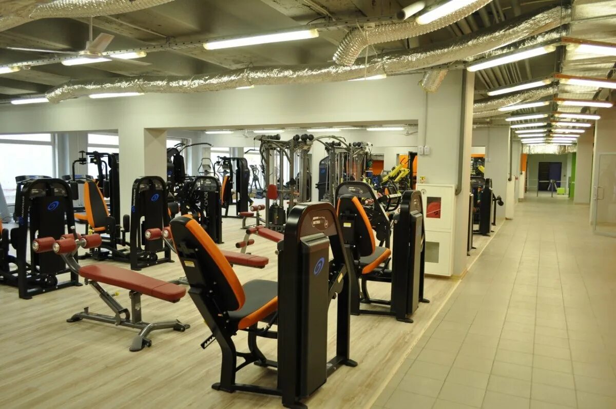 Фитнес левенцовка ростов на дону. Alex fitness ростов-на-дону левенцовка. алекс фитнесс чехова. alex fitness, ростов-на-дону, проспект чехова. алекс фитнес ростов левенцовка.