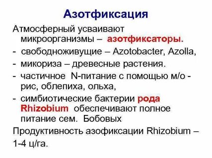 Способность к азотфиксации