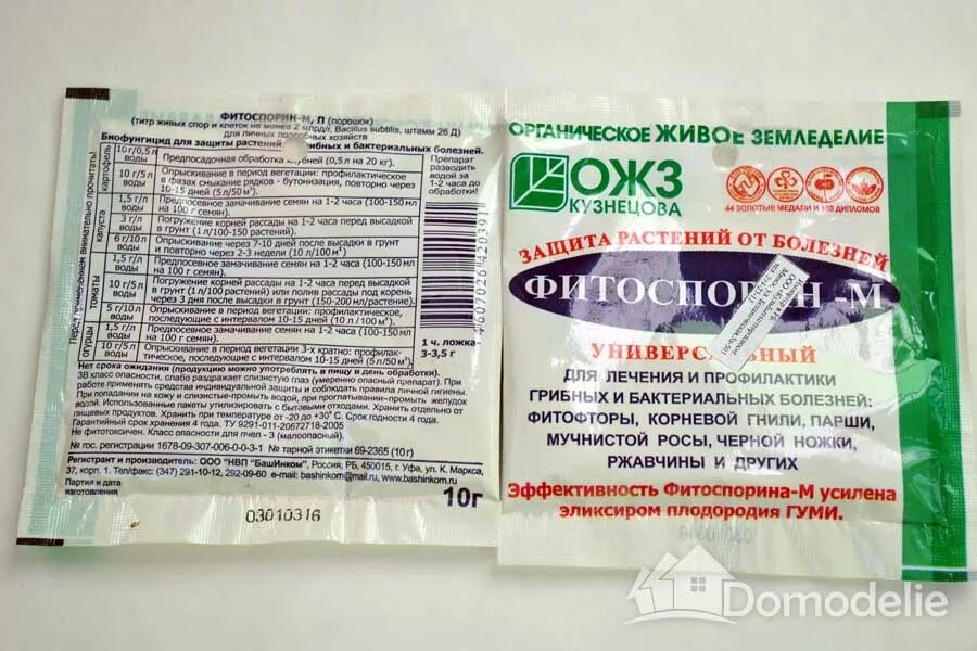 Признаки фитотоксичности серосодержащих фунгицидов