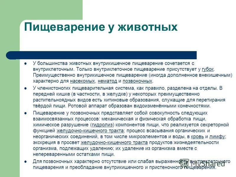 Функции внутриклеточного пищеварения выполняют. Функции внутриклеточного пищеварения выполняют