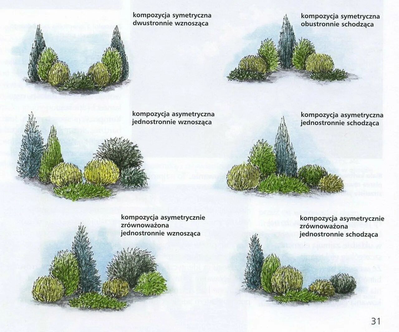 Схема посадки хвойных деревьев. Схемы посадок хвойных и кустарников. Схема посадки хвойников с кустарниками. Схема посадки хвойников в ландшафтном. 5 группа деревьев