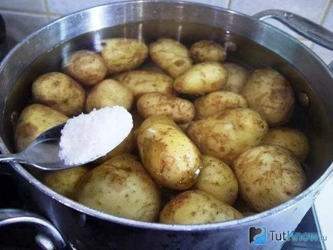 Сколько варить молодой картофель. Как варить молодую картошку. Как правильно варить молодую картошку в кастрюле. Что сделать с вареной молодой картошкой.
