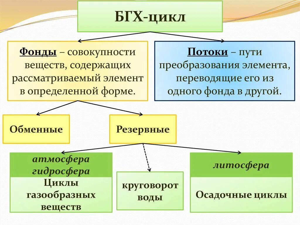 БГХ циклы. Циклы газообразных веществ доклад. Основные БГХ циклы. БГХ экология типы.