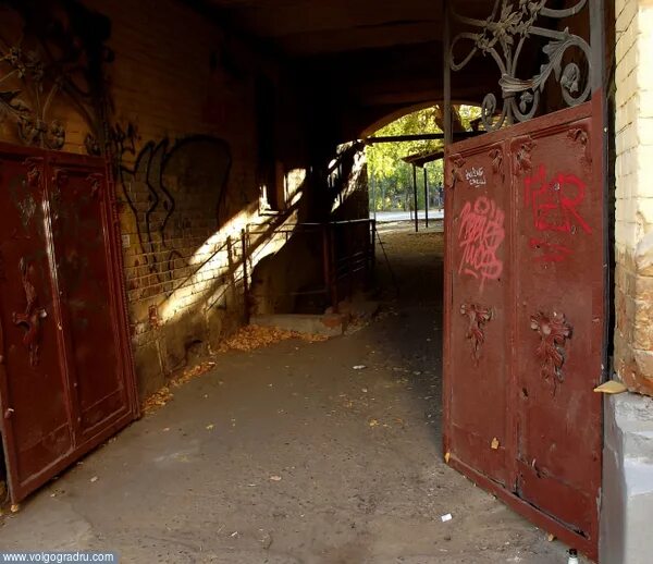 найди кота на дереве. найти кота 23. найди кота хорошем качестве. найти кота на картинке. найди кота питер.