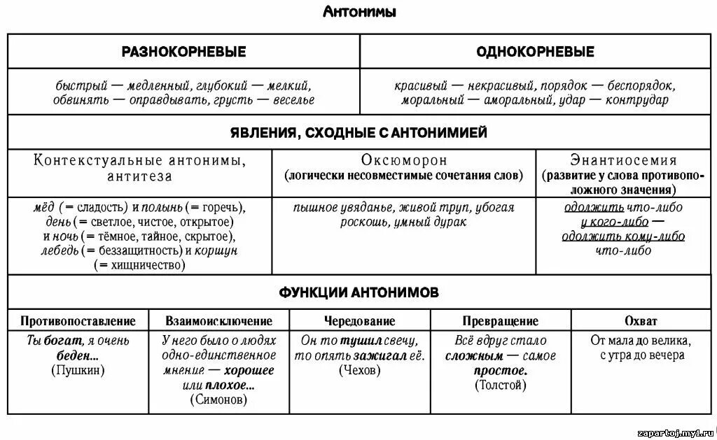 Лексика 2 примера. Типы синонимов и антонимов. Синонимы антонимы таблица. Антонимы это типы в русском языке таблица. Тип и функция антонимов.