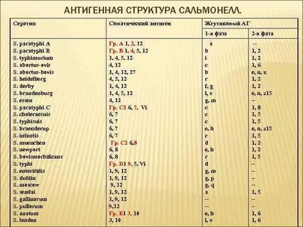 Классификация кауфмана уайта сальмонелл