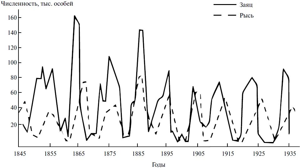 На графиках продемонстрированы изменения численности жертвы зайцев. Графики изменения численности популяций. Динамика численности популяции. Изменение численности популяции. График изменения численности Зайцев и рыси.