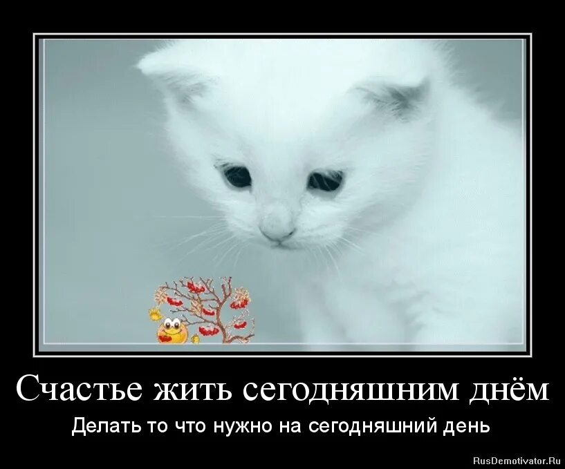 Жить надо сегодня. Живи сегодняшним днем. Счастье жить сегодняшним днём. Надо жить сегодняшним днем. Живи сегодняшним днем цитаты.