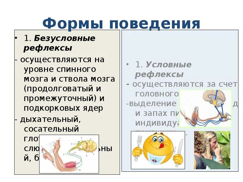 Психика и поведение человека презентация 8 класс. Условные и безусловные рефлексы. Условный рефлекс и безусловный рефлекс. Условные без условные Рефлеоксы. Примеры безусловных рефлексов у человека.