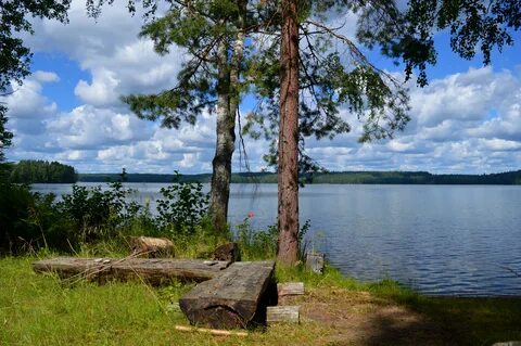 Lake shore