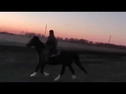 Пацаны конь песня слушать