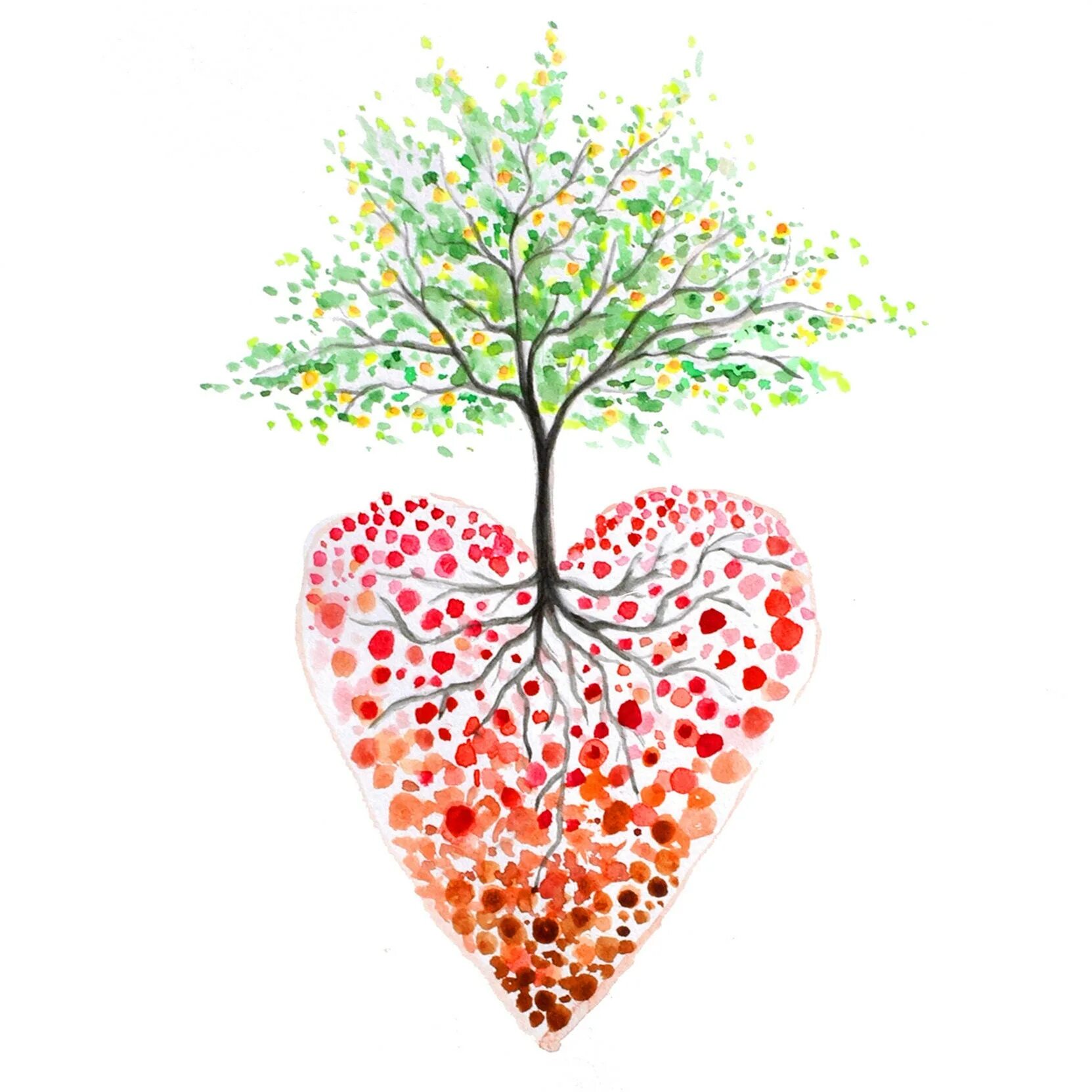 The heart of the tree. The heart of the tree