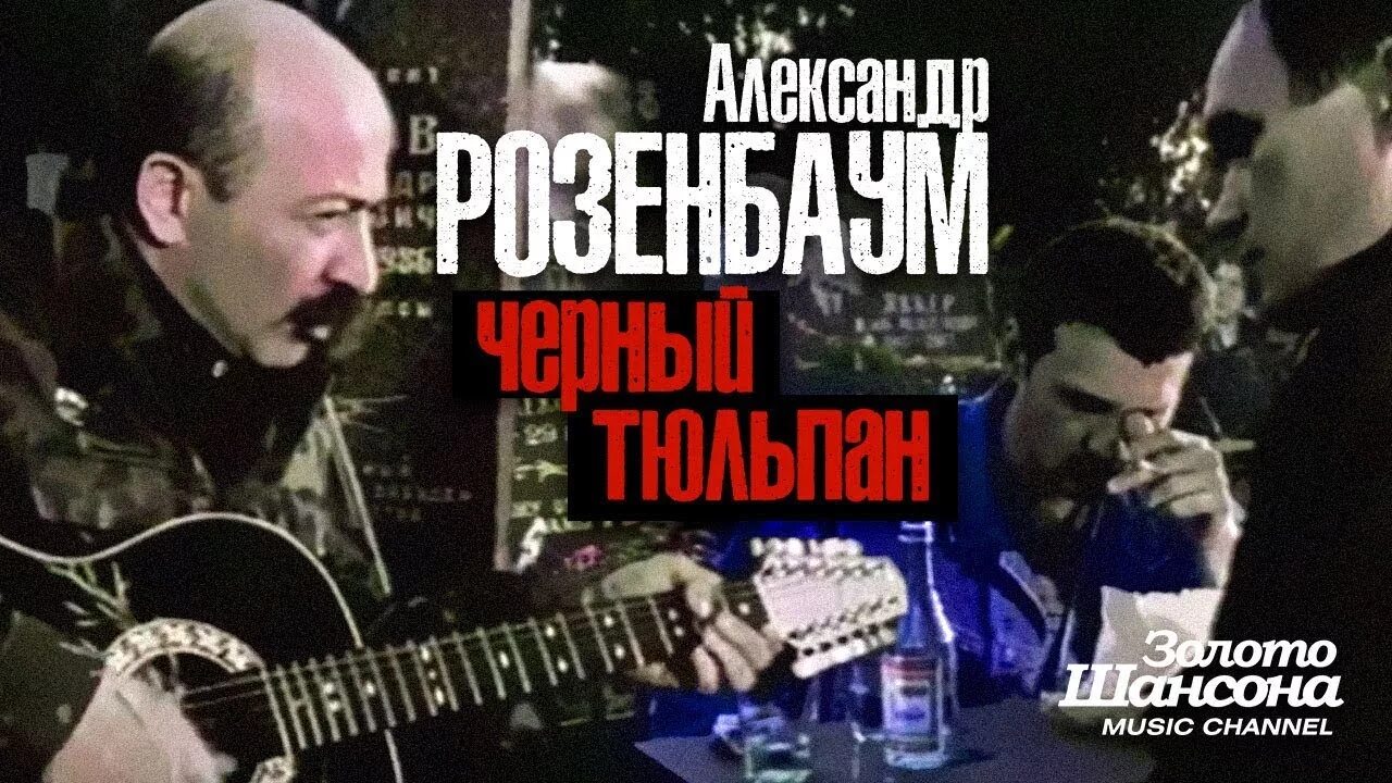 Розенбаум 1986 чёрный тюльпан. Афганистан Розенбаум тюльпан. Розенбаум чёрный тюльпан Розенбаум чёрный. В черном тюльпане в стакане