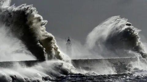 Storm пресейл