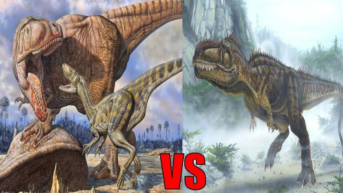 Кто сильнее гигантозавра. Спинозавр против КАРХАРОДОНТОЗАВРА. Гиганотозавр. Кархародонтозавр Jurassic World. Тиранозавр Спинозавр гигантозавр.