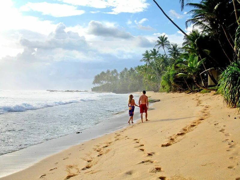 Coconut tree hill мирисса. Хиккадува шри ланка. Ваддува шри ланка девушка. Пляж тангалле шри ланка. Отдых на берегу индийского океана.