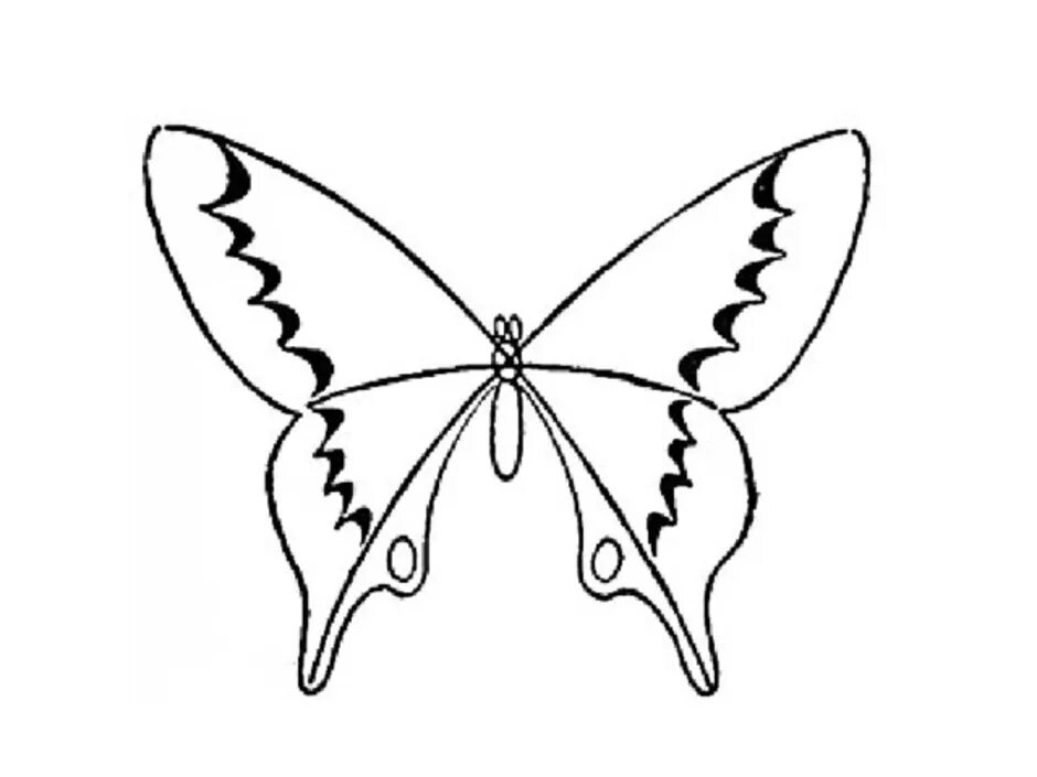 Простые крылья бабочки. Бабочка карандашом. Красивая бабочка рисунок для срисовки. Рисование бабочки. Бабочка рисунок карандашом.