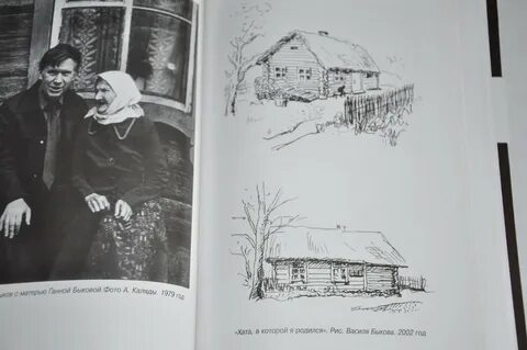 Незагойная рана краткое