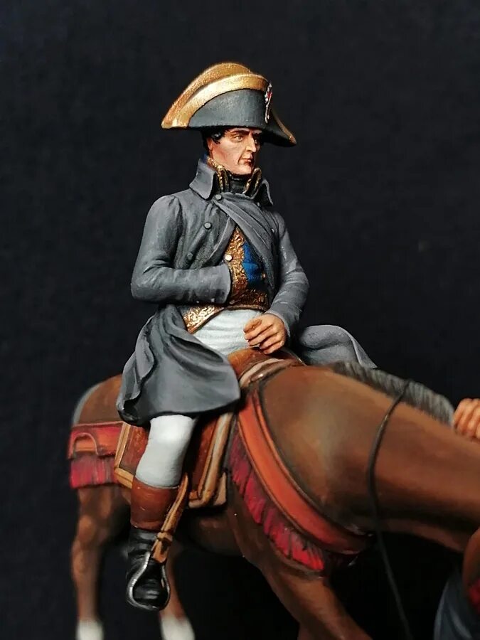 Радзинский наполеон. Наполеон 7. Поль деларош портрет наполеона. Генерал гюден смоленск. Наполеон 7 букв.