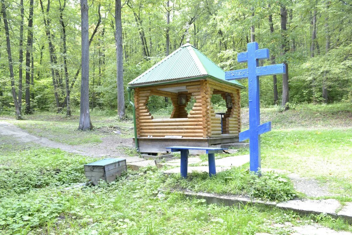 Святой источник откуда. Мисцево источник святой источник. Турово святой источник. Святой источник кострома. Родник святой источник иконы божией матери всех скорбящих радость.