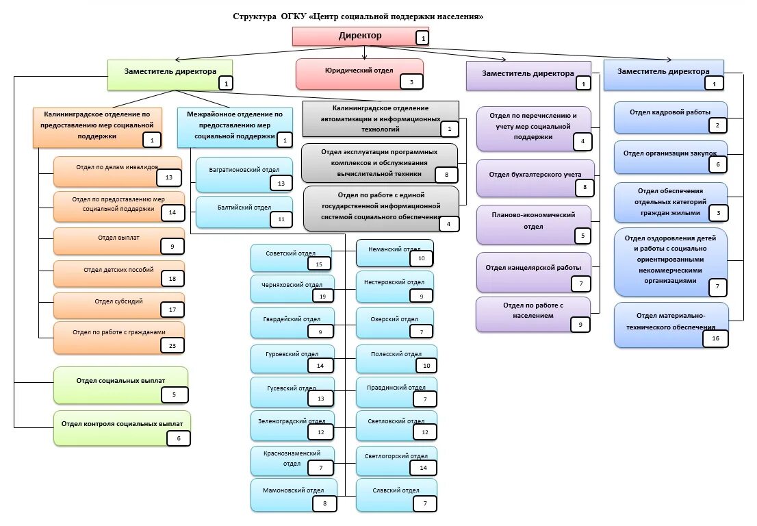Центр защиты поддержки населения. Структура центра социальной поддержки населения. Структура управления центра социального обслуживания. Центр социальных выплат структура. Организационная структура центра социальной поддержки населения.