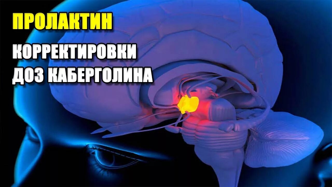 Как быстро снизить пролактин. Пролактин психосоматика. высокий пролактин психосоматика. высокий пролактин психосоматика у женщин. психосоматика повышенного пролактина.