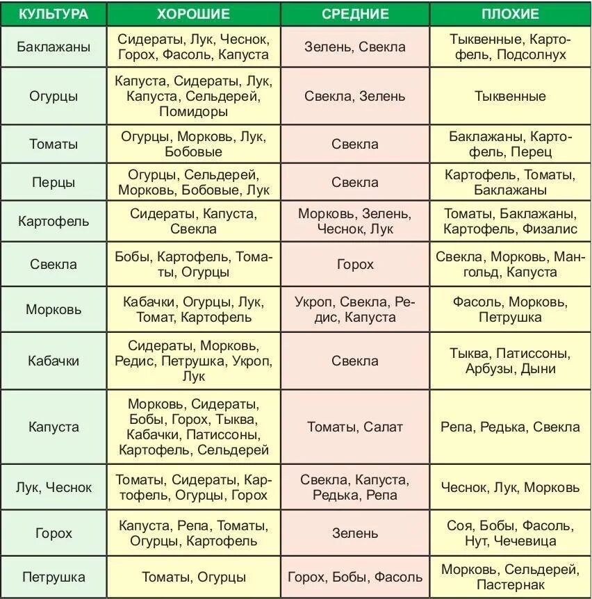 Лук после помидор можно. Севооборот сидератов таблица. Посадка овощей предшественники таблица. Таблица севооборота овощных культур и сидератов. Чередование культур в севообороте на даче таблица.