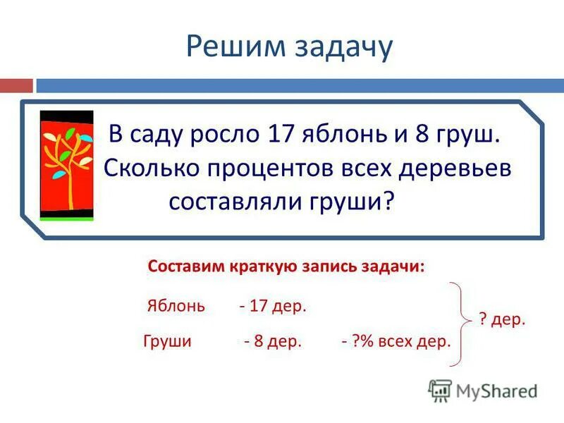 Задачи на проценты 11. Решаем задачу в саду росли яблони. Решение задачи с краткой записью. Решить задачу в саду растут 56 яблонь. В саду растут яблони.