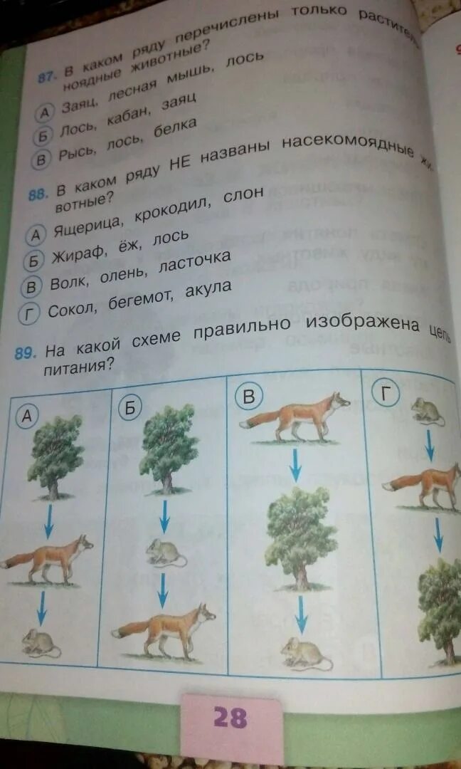 Окружающий мир 3 тест фгос. Окружающий мир. 3 класс. тесты. окружающий мир 3 класс тесты плешаков. окружающий мир 3 тесты. для этого окружающий мир в 3 классе.