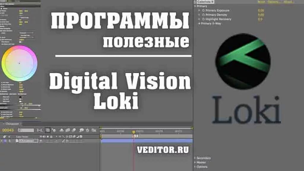 Локи программа. Digitals программа. диджитал приложение. digital vision. приложения для диджитал обработки.
