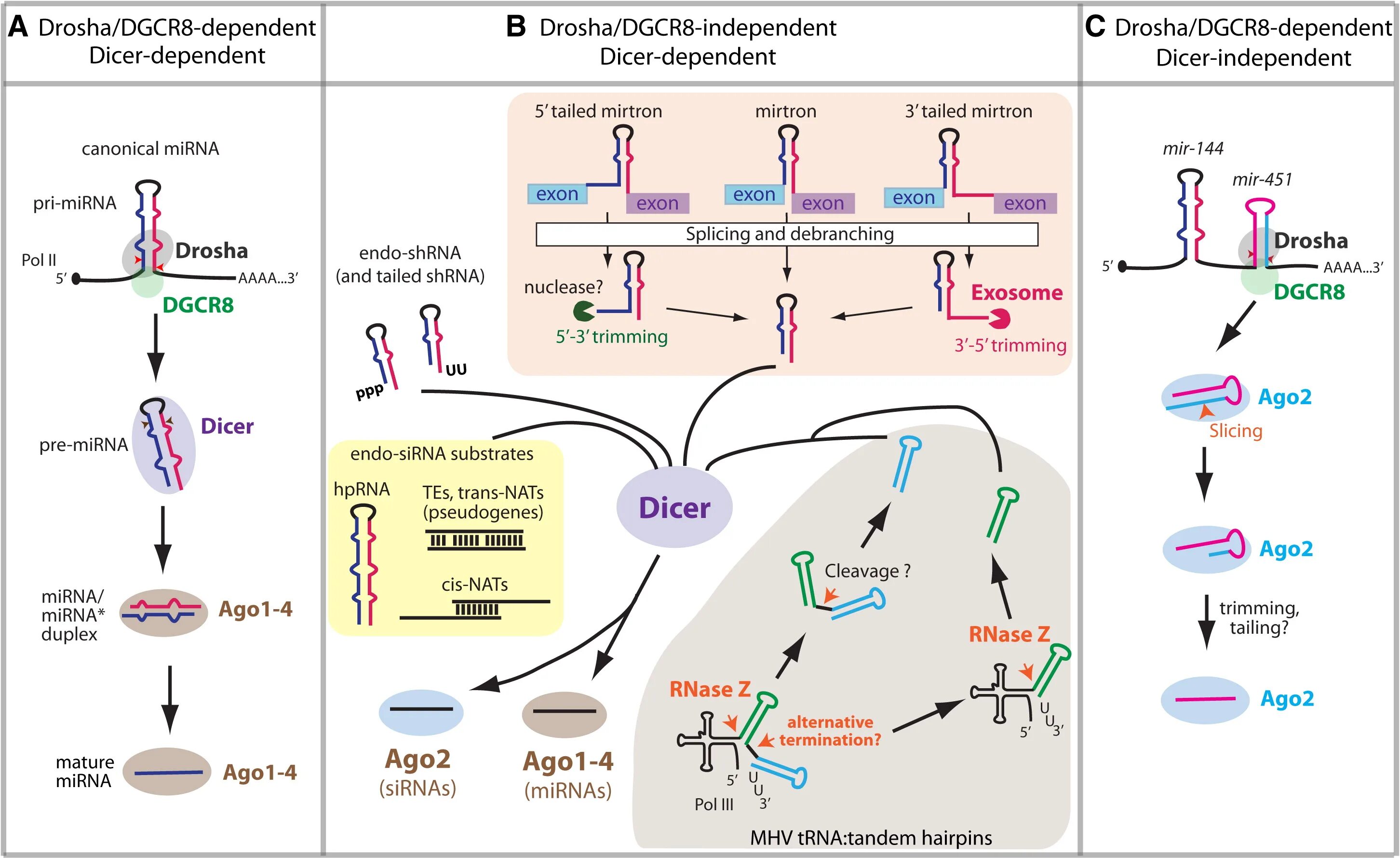 группа periphery. Js ts. научные шутки. вики вейл бэтмен. смешные комиксы про науку.