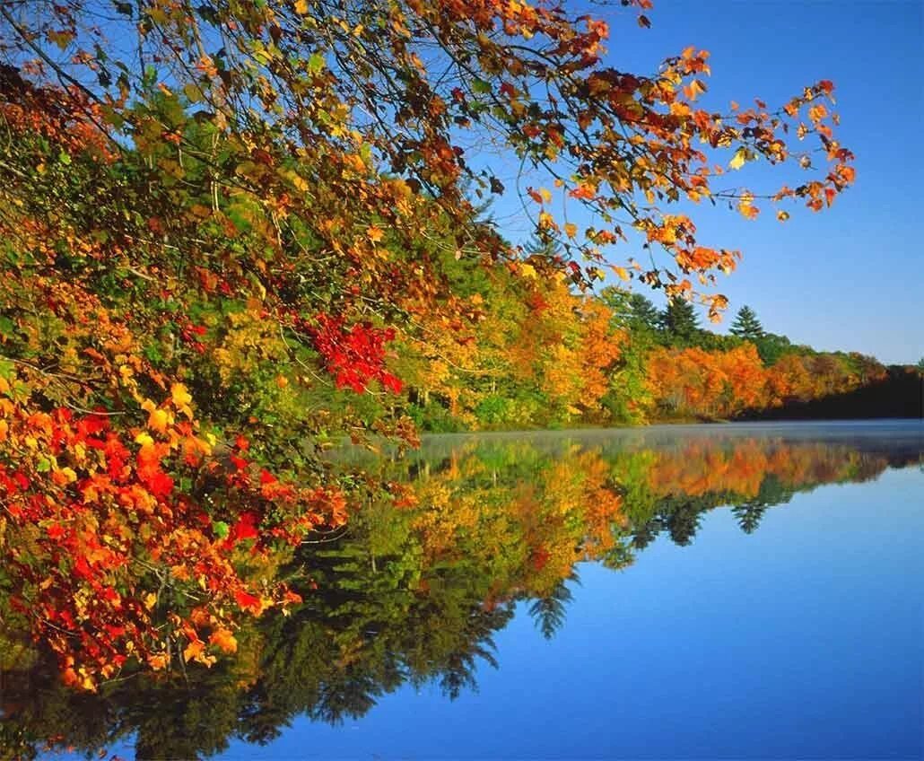 Картинки осень природа. Природа осень. Природа осенью. Сентябрь природа. Красивая осень.