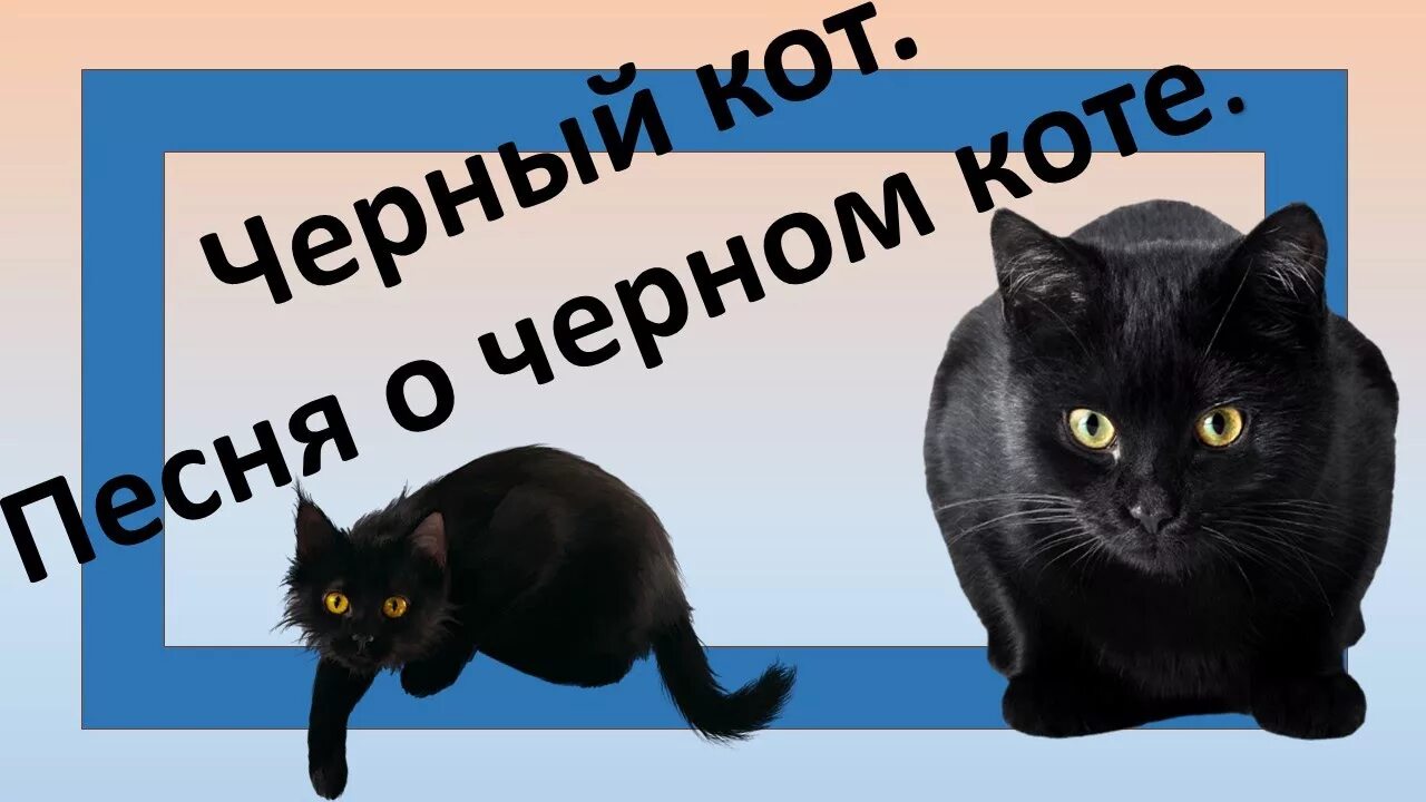 Жил да был чёрный кот за углом. Чёрный кот песня. Черный кот текст. Текст песни черный кот.