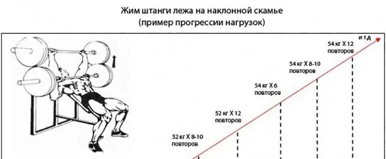 Калькулятор жима лежа сарычев. Жим штанги лежа план тренировок. Правильное выполнение жима лежа штанги. Траектория жима лежа правильная. Таблица тренировок жим лежа.