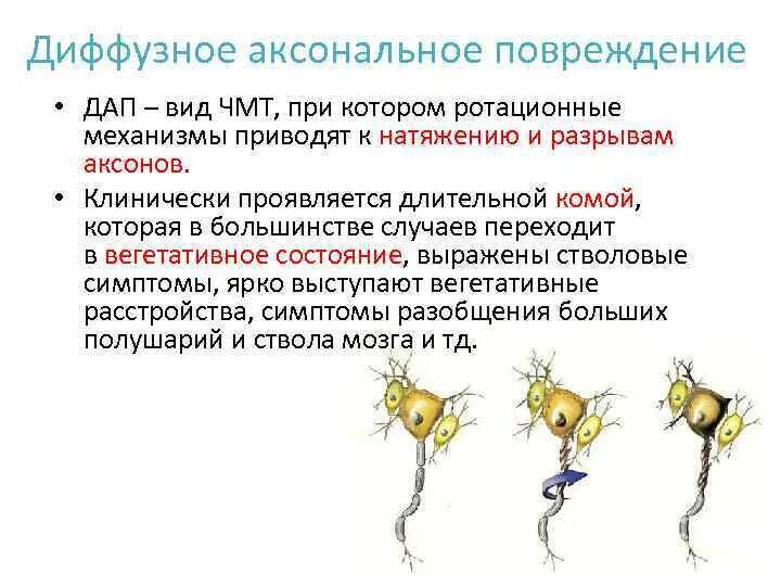 Диффузное аксональное повреждение. Диффузное аксональное повреждение при чмт. диффузное аксональное повреждение (дап). лечение диффузного аксонального повреждения. диффузное аксональное повреждение механизм.
