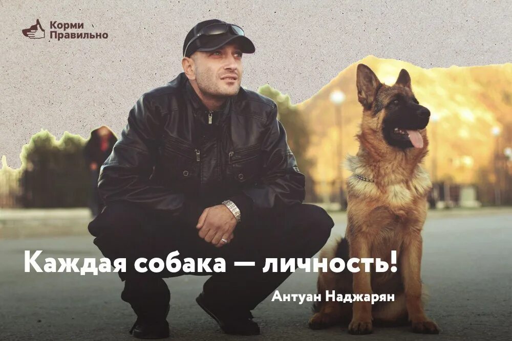 Искусство общения с собакой. Книги антуана наджаряна искусство общения. Искусство общения с собакой антуан наджарян. Антуан наджарян - искусство общения с собакой 2020. Каждая собака.