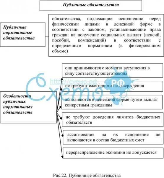 Публичные обязательства примеры. Публичные нормативные обязательства это. Публичные нормативные обязательства пример. В чём особенность публично-нормативных обязательств. Общественные обязательства