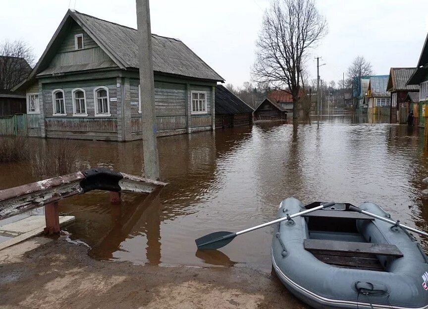 Деревня Крестцы Новгородская область. Хвойная Новгородская область затопления. Поселок Крестцы Новгородской река Холова. Деревня мокрый остров Крестецкий район. Новгородская область крестцы на неделю