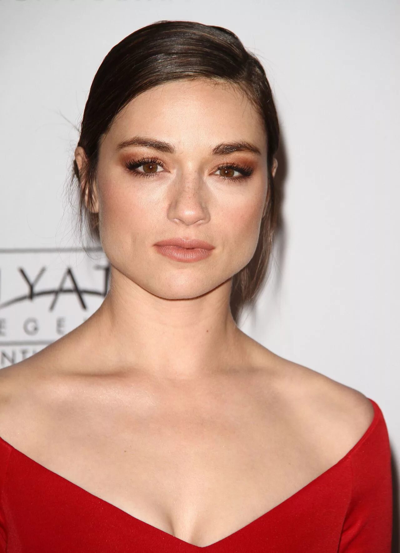 Кристал рид 2014. Нов хоккея. Кристал рид макияж. Кристалл 2014. Хроматограф хроматэк кристалл.