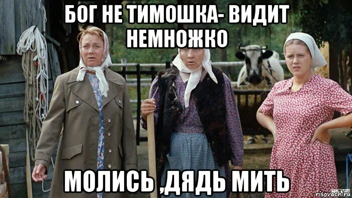 Настенька мем. Любовь и голуби. Тимошка бог немножко. Русские поговорки. Бог не видит немножко.