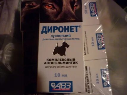 Диронет джуниор