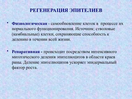 Регенерация особенности