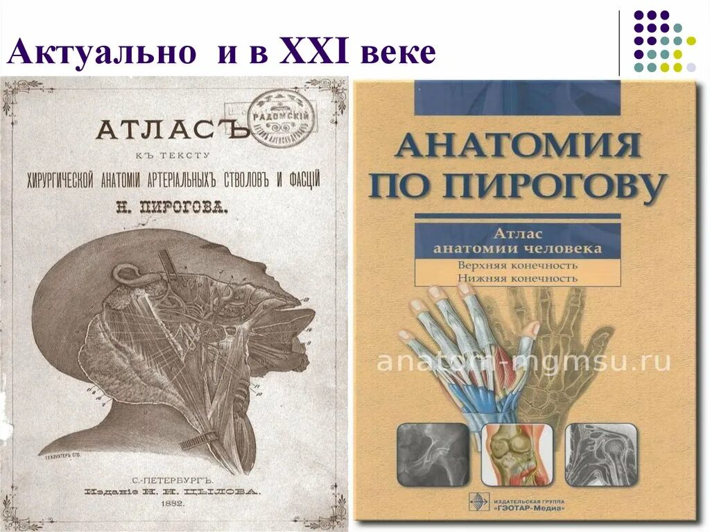 Законы пирогова. Топографическая анатомия Пирогова. Анатомический атлас Пирогова. Атлас по анатомии Пирогова.